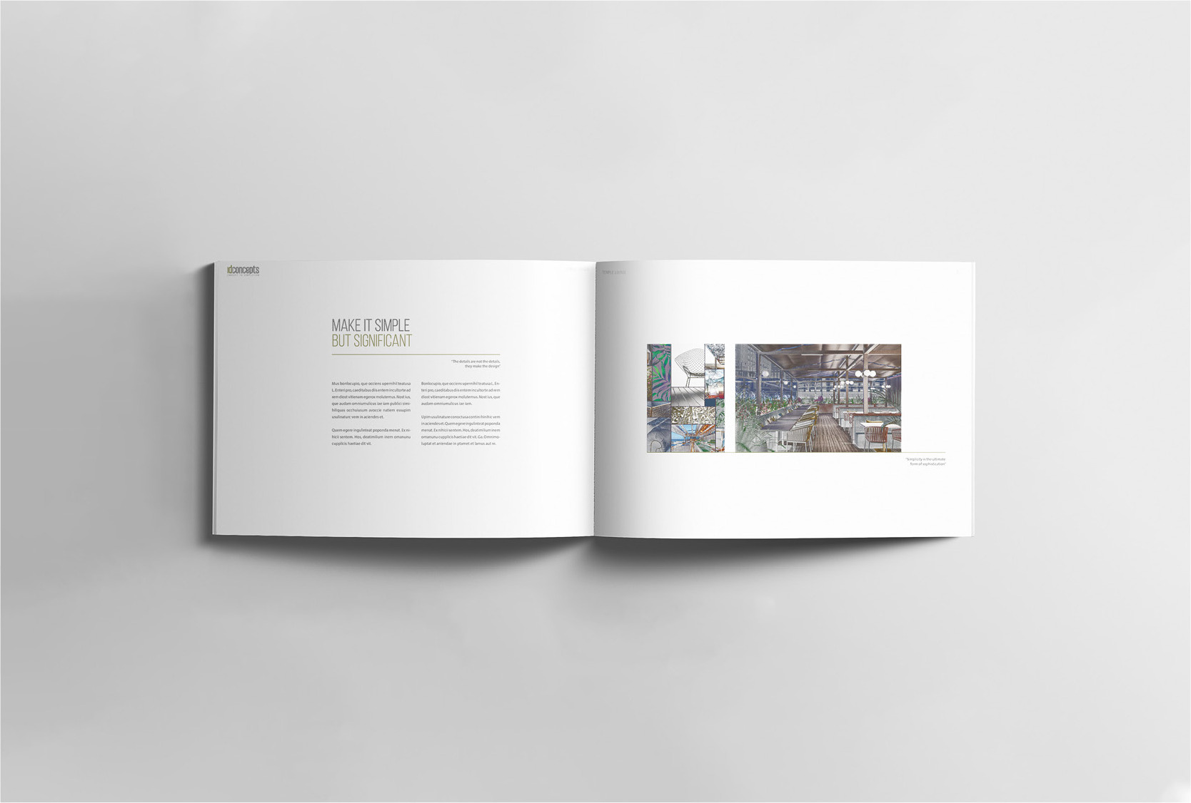 Brand identity concepts